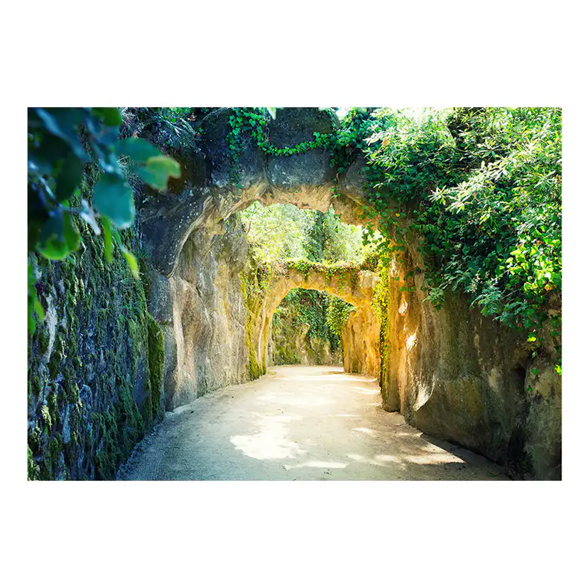 Fototapet Arkiio Via Naturae