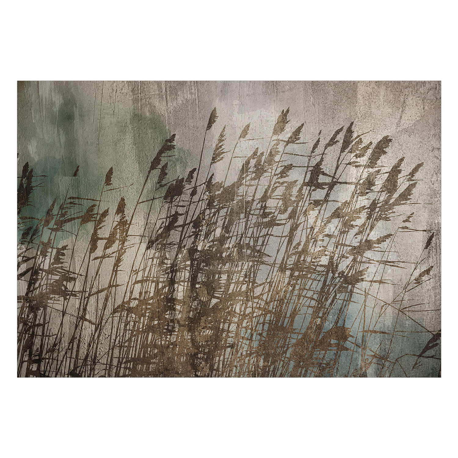 Fototapet Arkiio Water Grasses