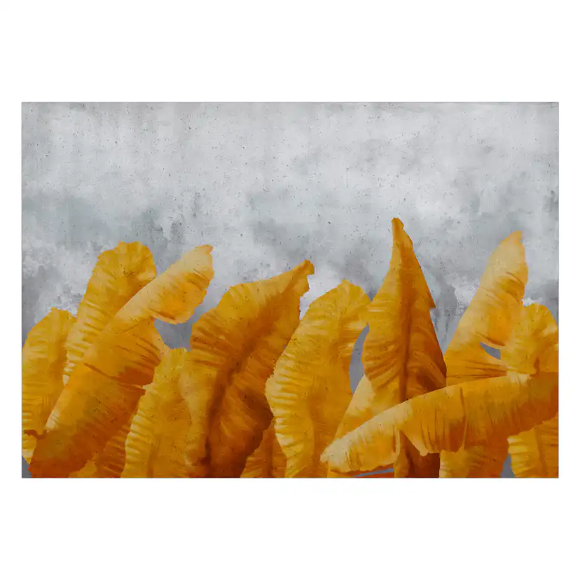 Fototapet Arkiio Banana Leaves