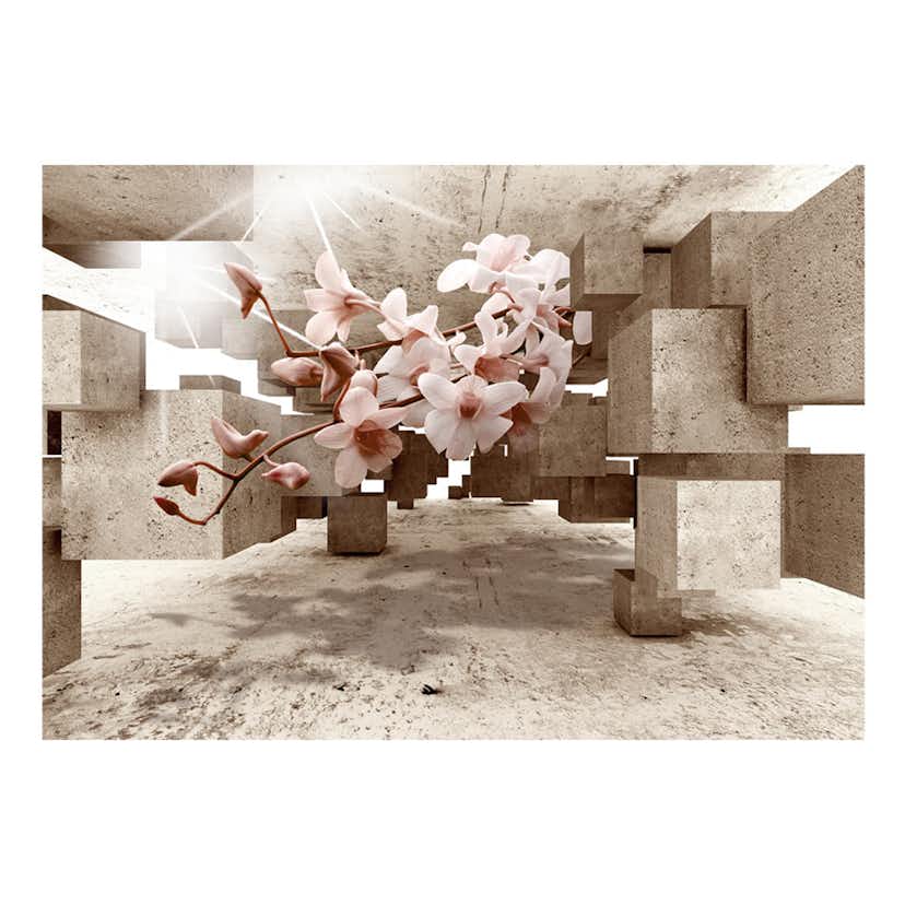 Fototapet Arkiio Little Miracles