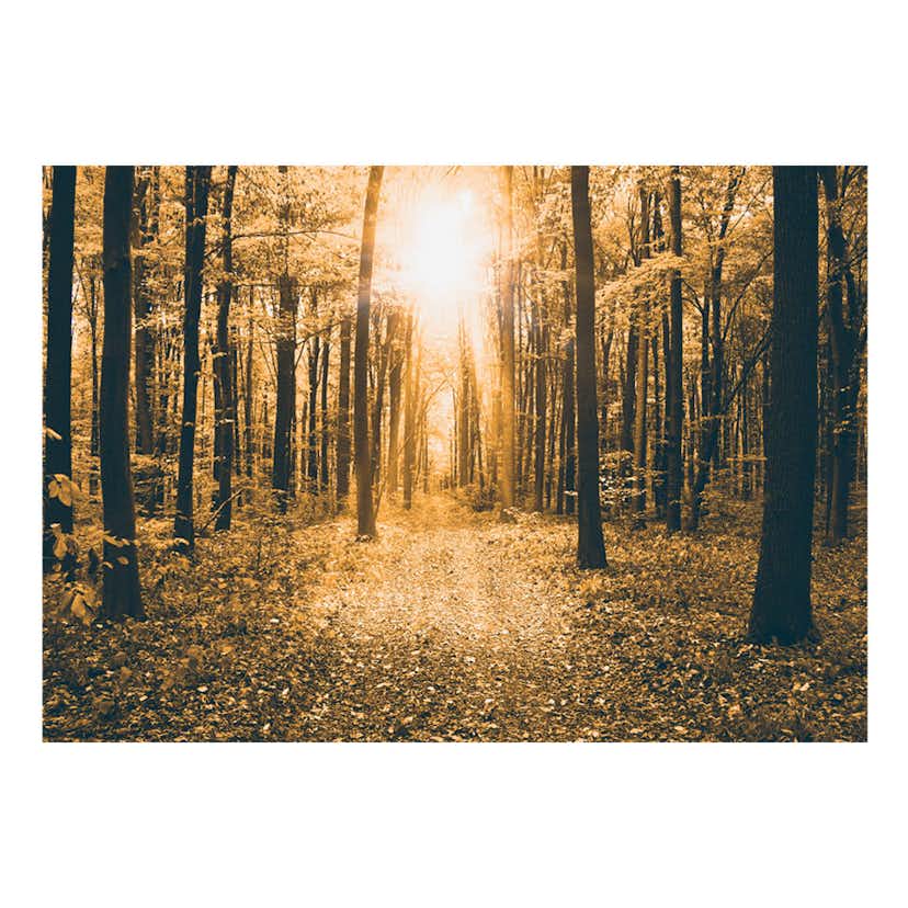 Fototapet Arkiio Magical Light