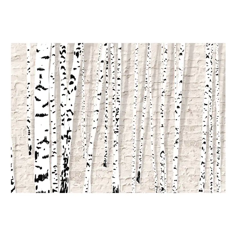 Fototapet Arkiio Birchen Grove