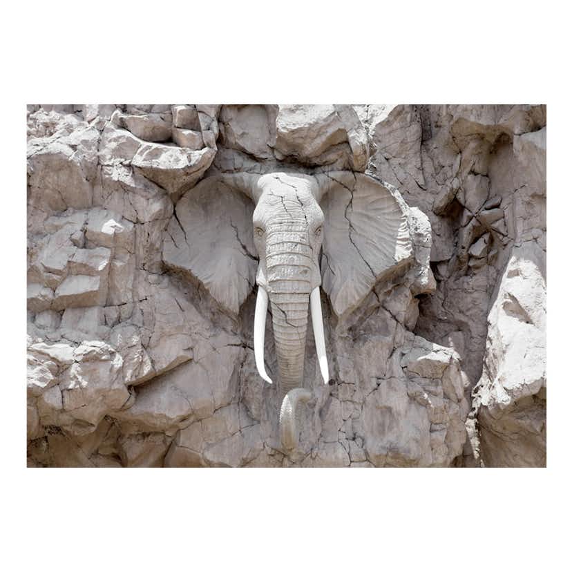 Fototapet Arkiio The Bridge Of Time South Africa