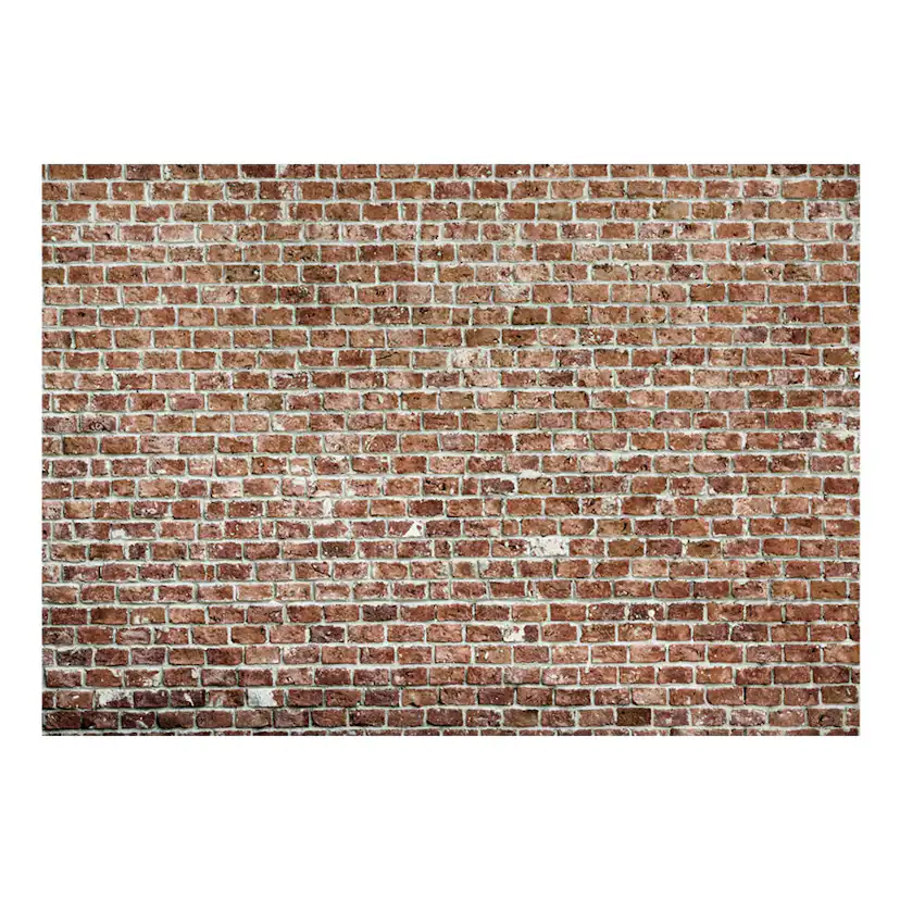 Fototapet Arkiio Old Dominion