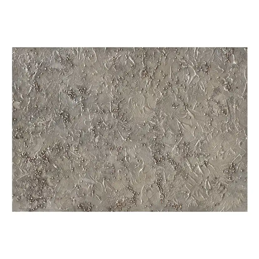 Fototapet Arkiio Silver Serenade