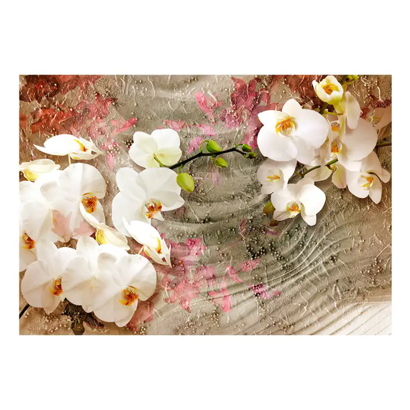 Fototapet Arkiio Desert Orchid