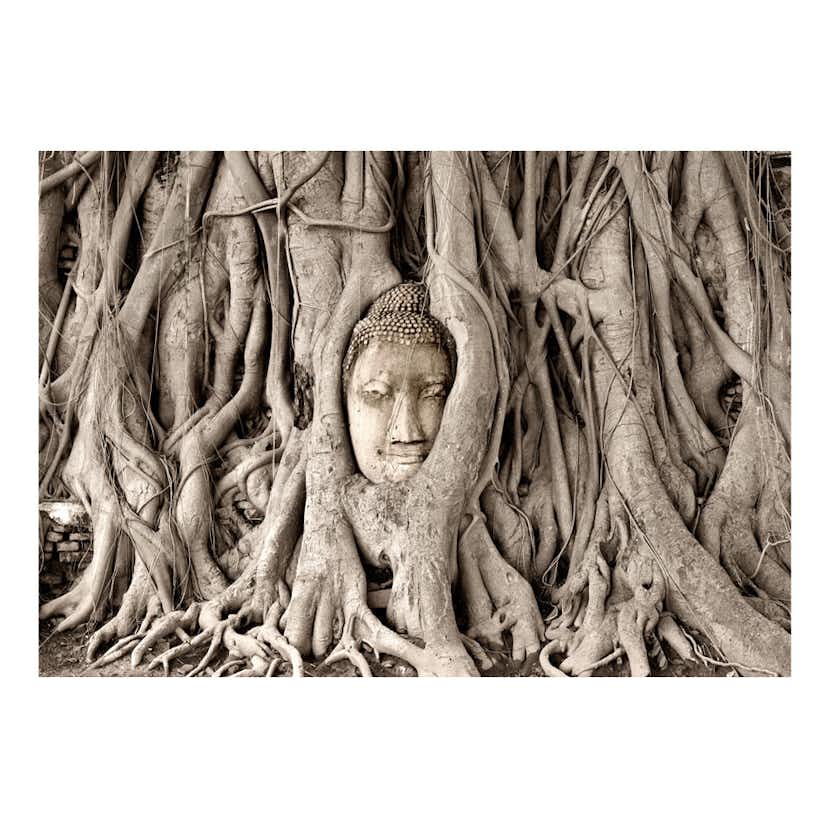 Fototapet Arkiio Buddha's Tree
