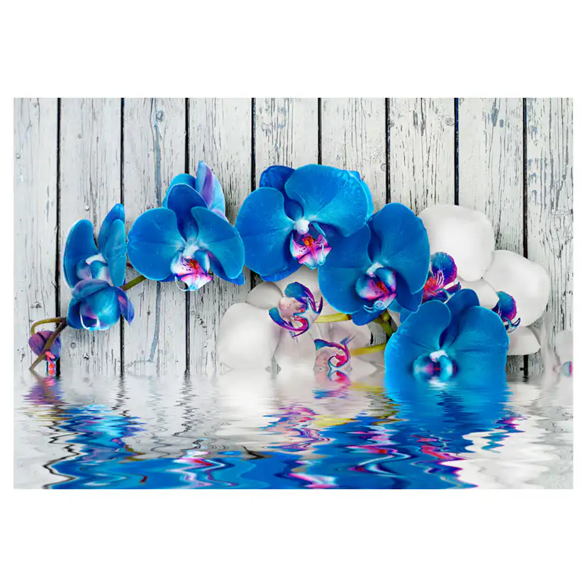 Fototapet Arkiio Cobaltic Orchid