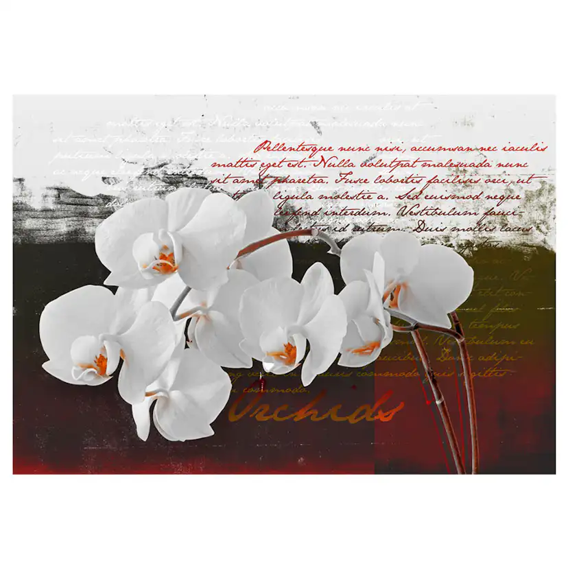 Fototapet Arkiio Diary And Orchid