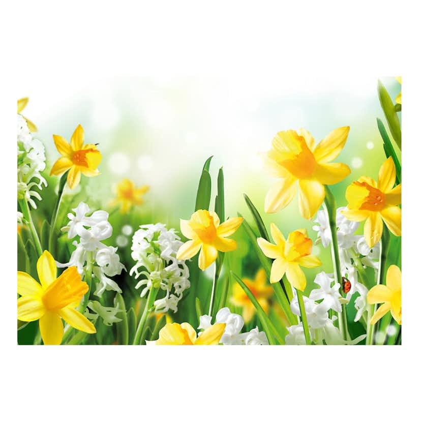 Fototapet Arkiio Spring Walk