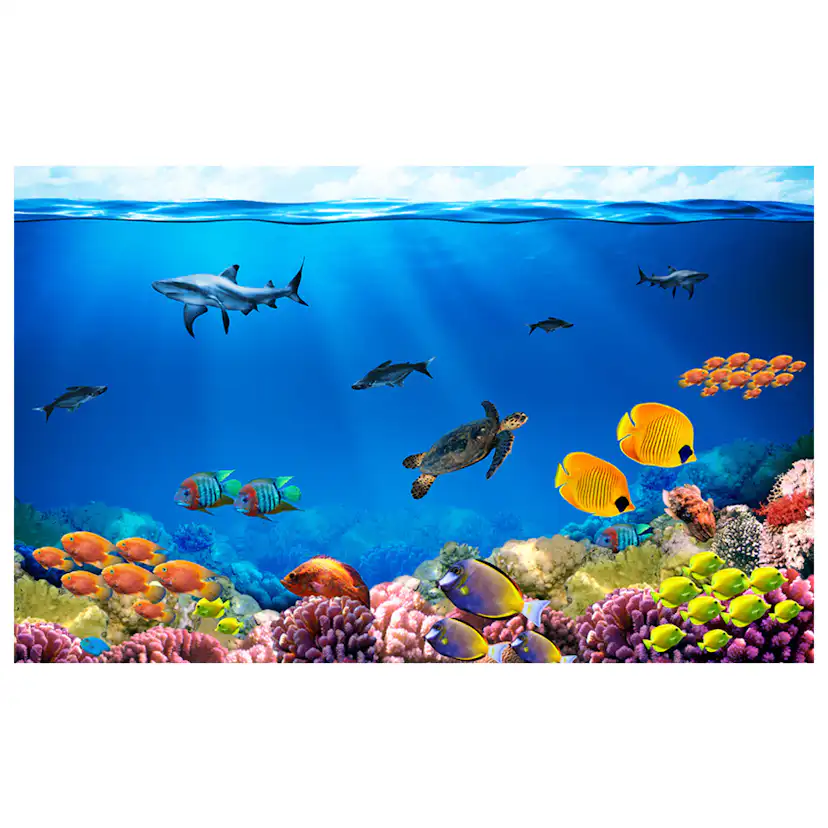 Fototapet Arkiio Underwater Kingdom