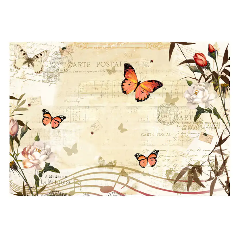 Fototapet Arkiio Melodies Of Butterflies