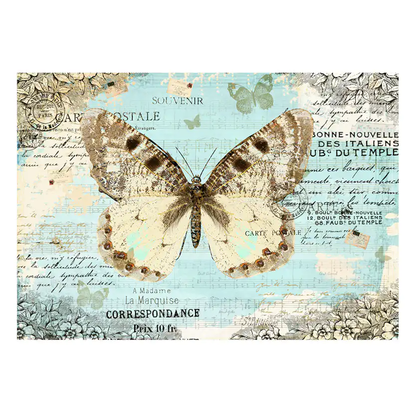 Fototapet Arkiio Postcard With Butterfly