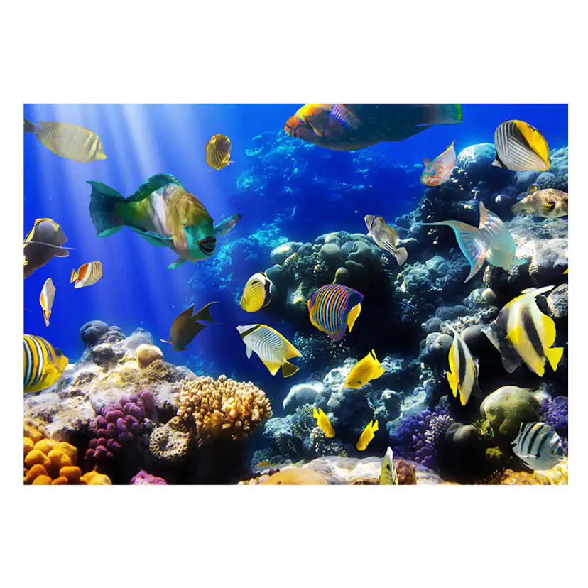 Fototapet Arkiio Underwater Adventure