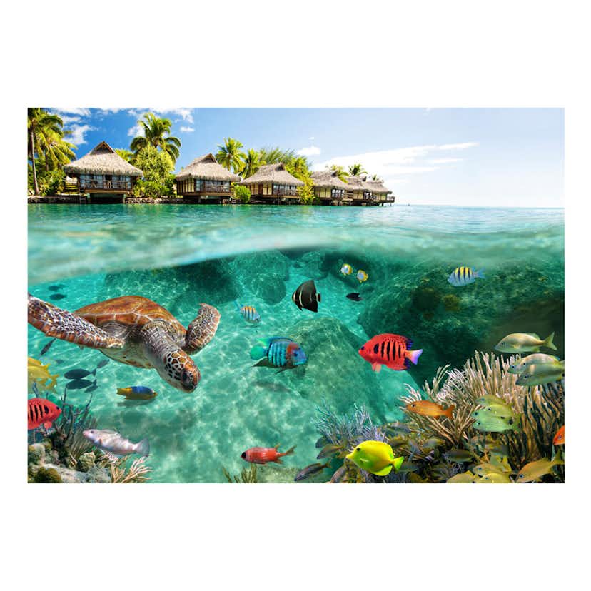 Fototapet Arkiio Under The Surface Of Water