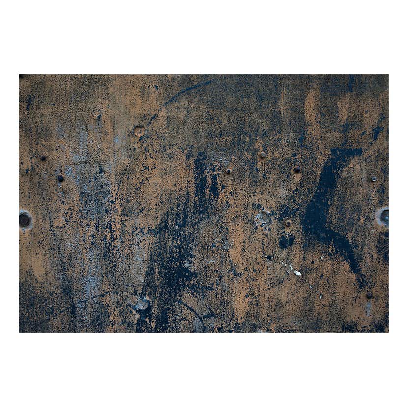 Fototapet Arkiio Prehistoric Dance