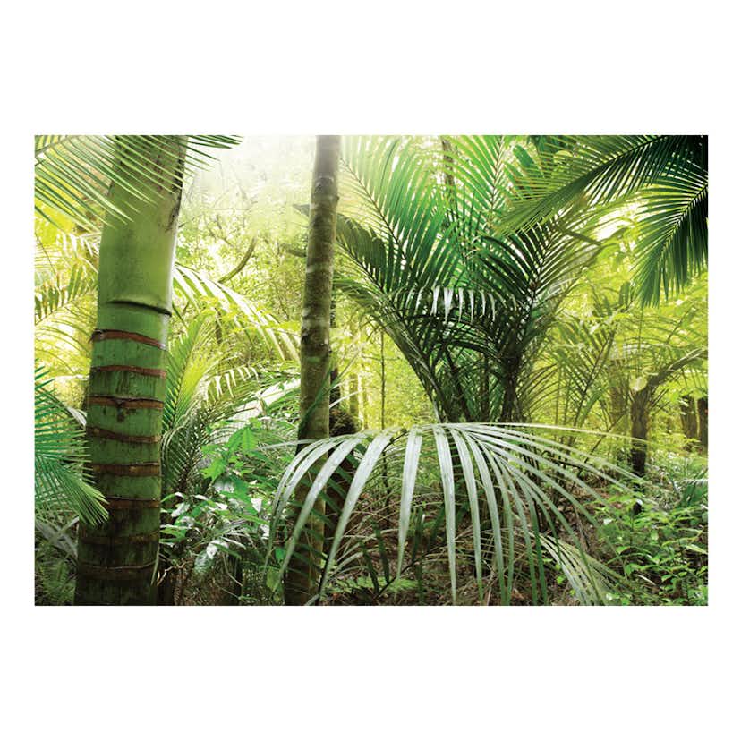 Fototapet Arkiio Green Alley