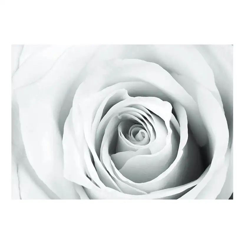 Fototapet Arkiio Rose Charade