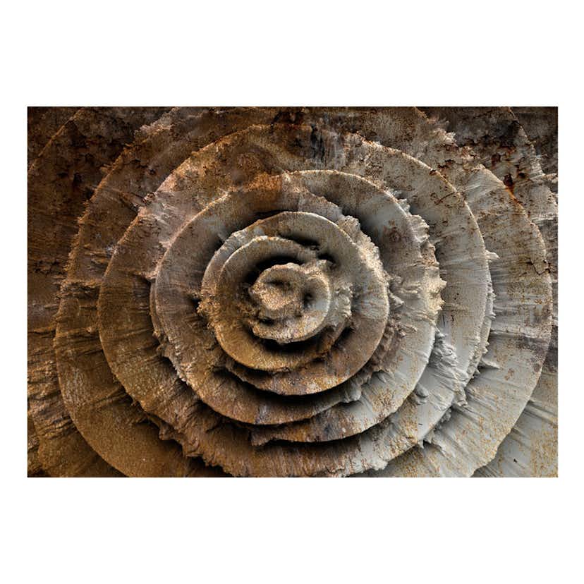 Fototapet Arkiio Desert Rose