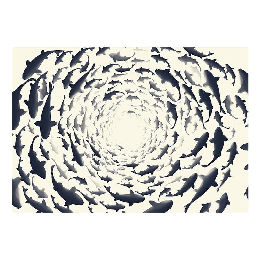 Fototapet Arkiio Fish Swirl