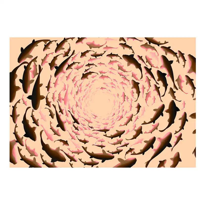 Fototapet Arkiio Shoal...