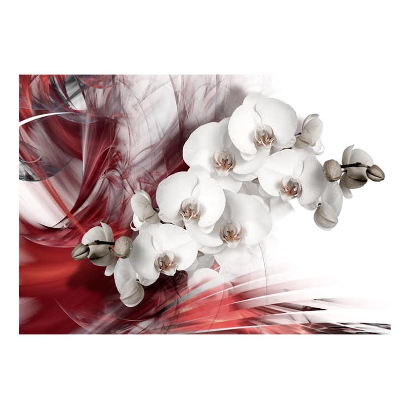Fototapet Arkiio Orchid In Red