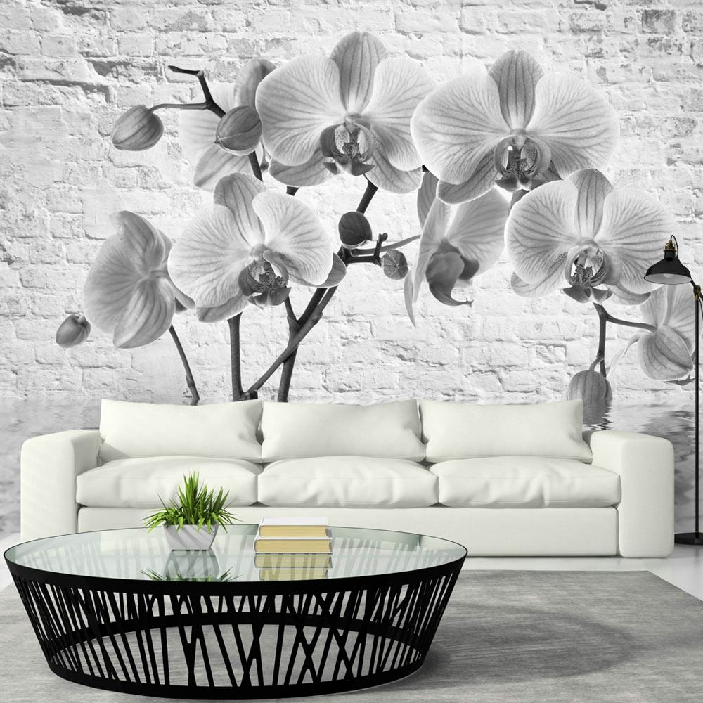 Fototapet Arkiio Orchid In Shades Of Gray