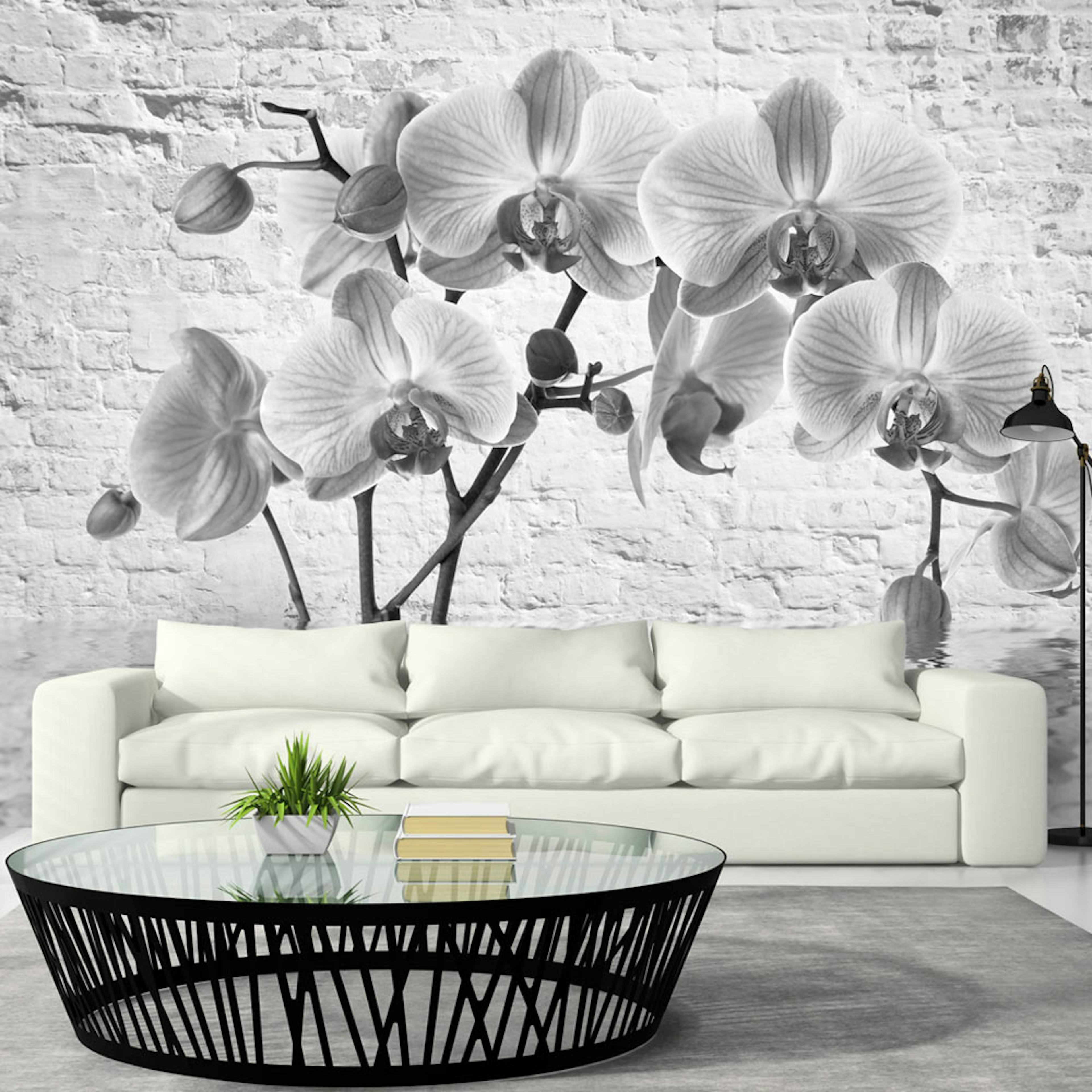 Fototapet Arkiio Orchid In Shades Of Gray