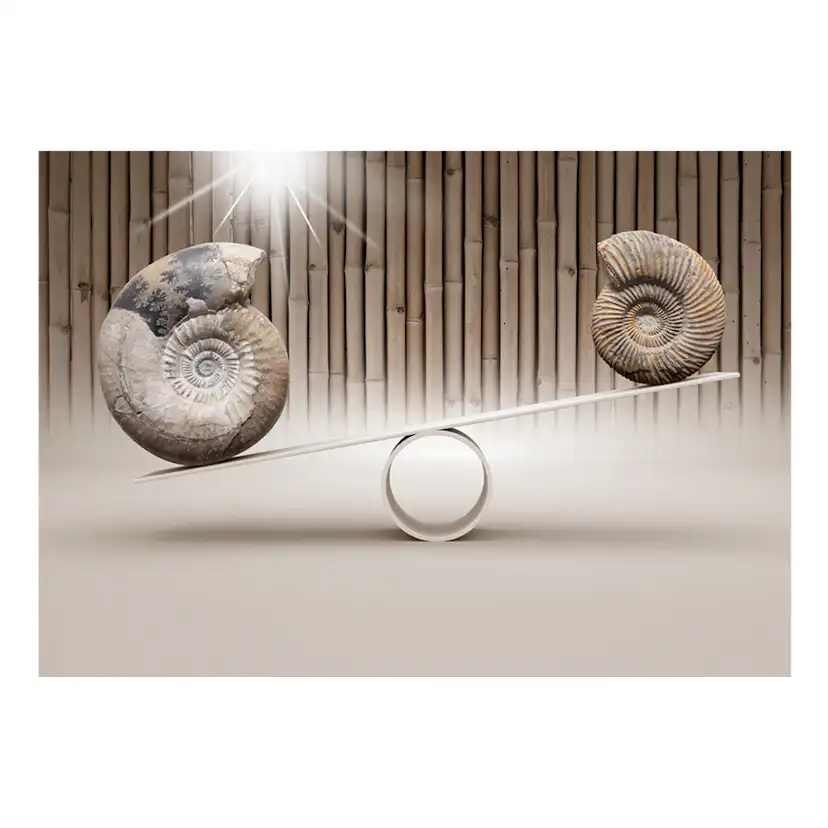 Fototapet Arkiio Fun With Fossils