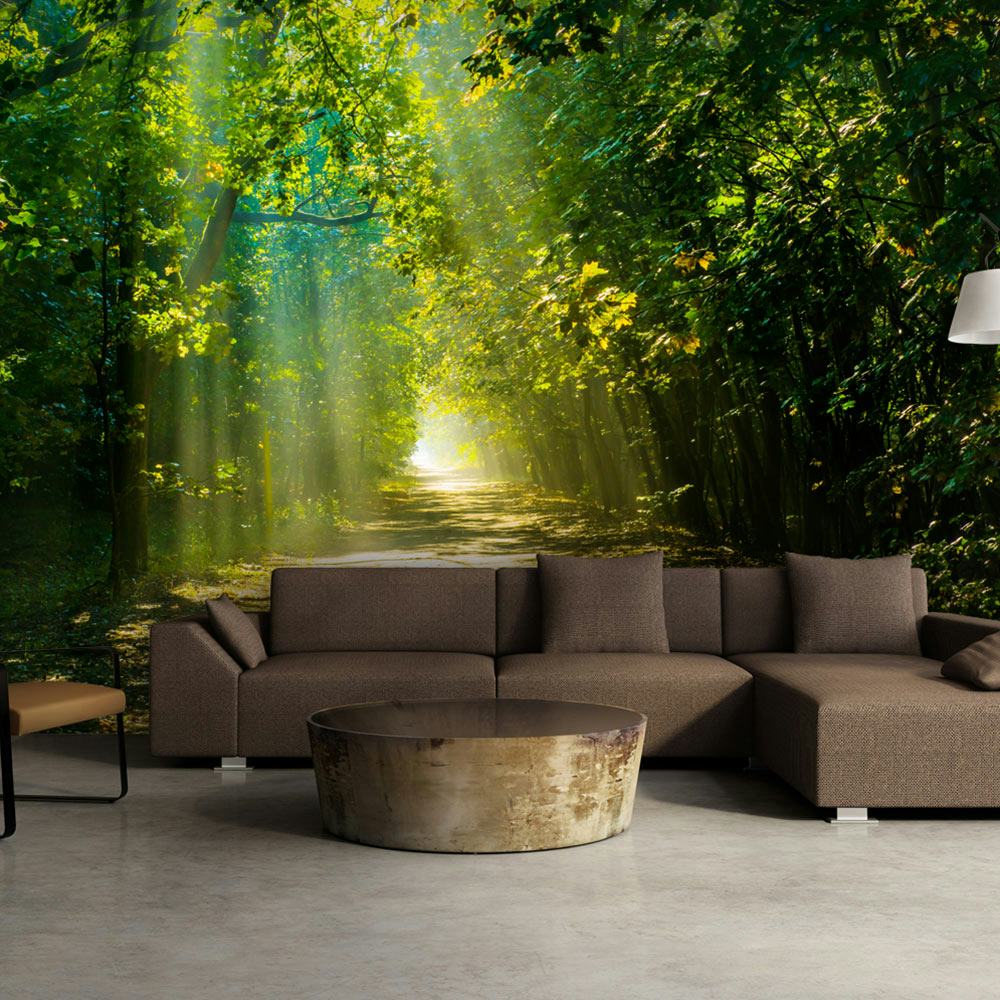 Fototapet Arkiio Road In Sunlight