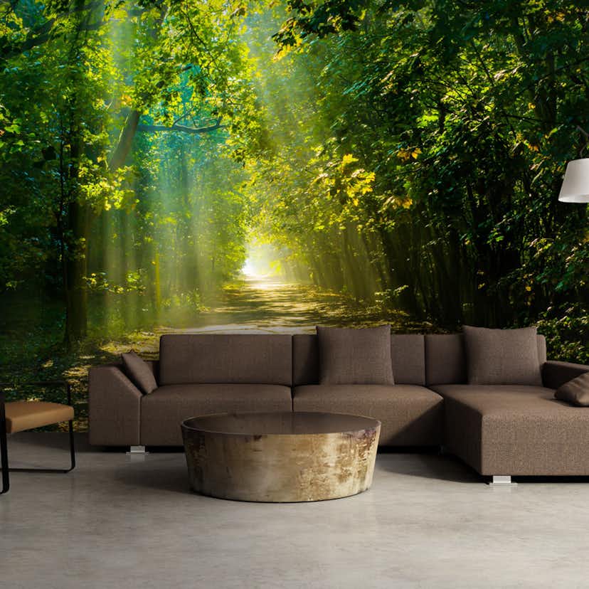 Fototapet Arkiio Road In Sunlight