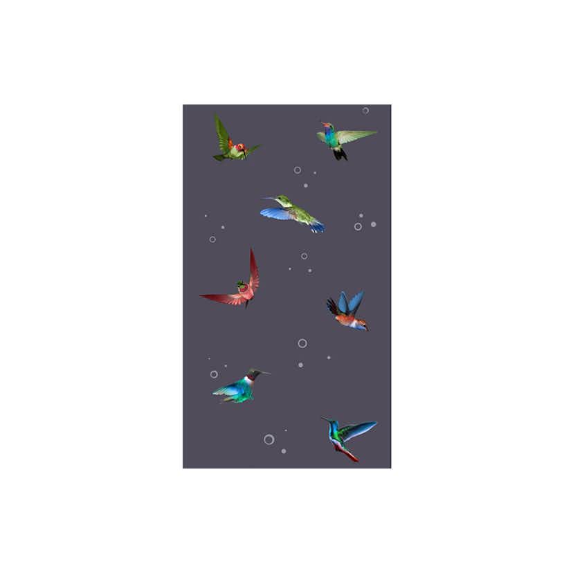 Fototapet Arkiio Flight of hummingbirds 50x1000 cm