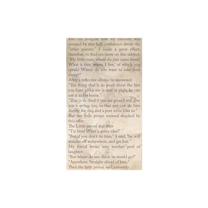 Fototapet Arkiio The Little Prince Spiritual Journey 50x1000 cm