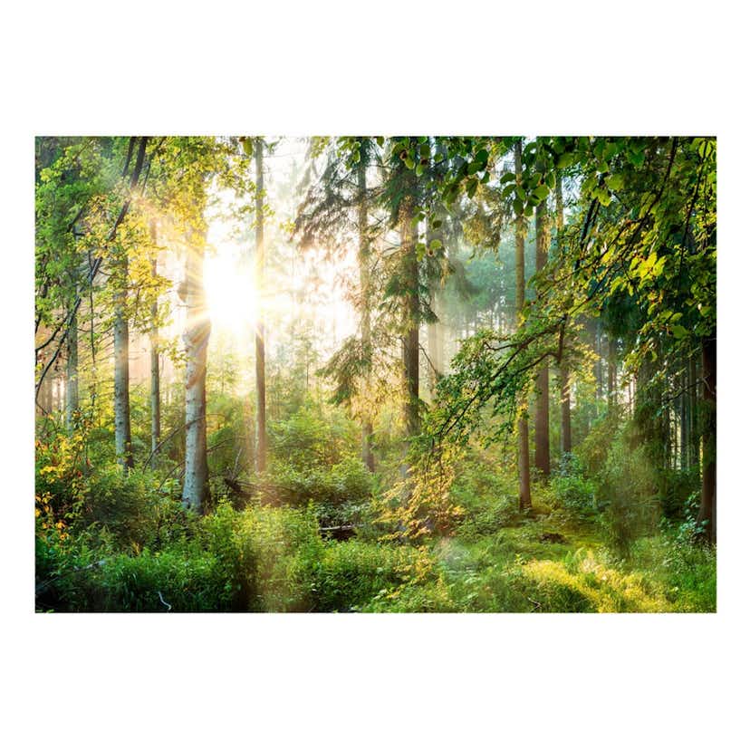 Fototapet Arkiio Självhäftande Untamed Nature