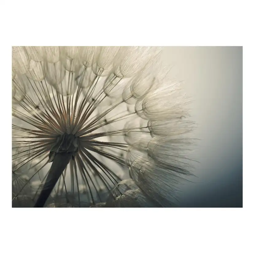 Fototapet Arkiio Självhäftande Ephemerality