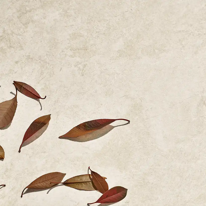 Klinker Lhådös Stone 30x60 cm Beige