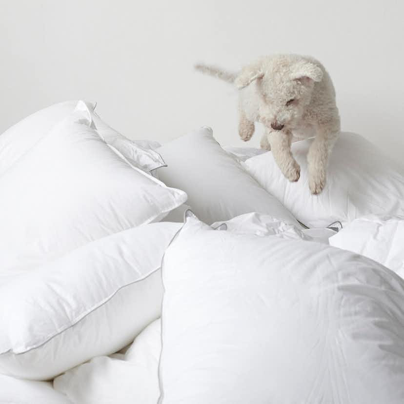 Hotelltäcke & Kudde Borganäs of Sweden Enkelsäng