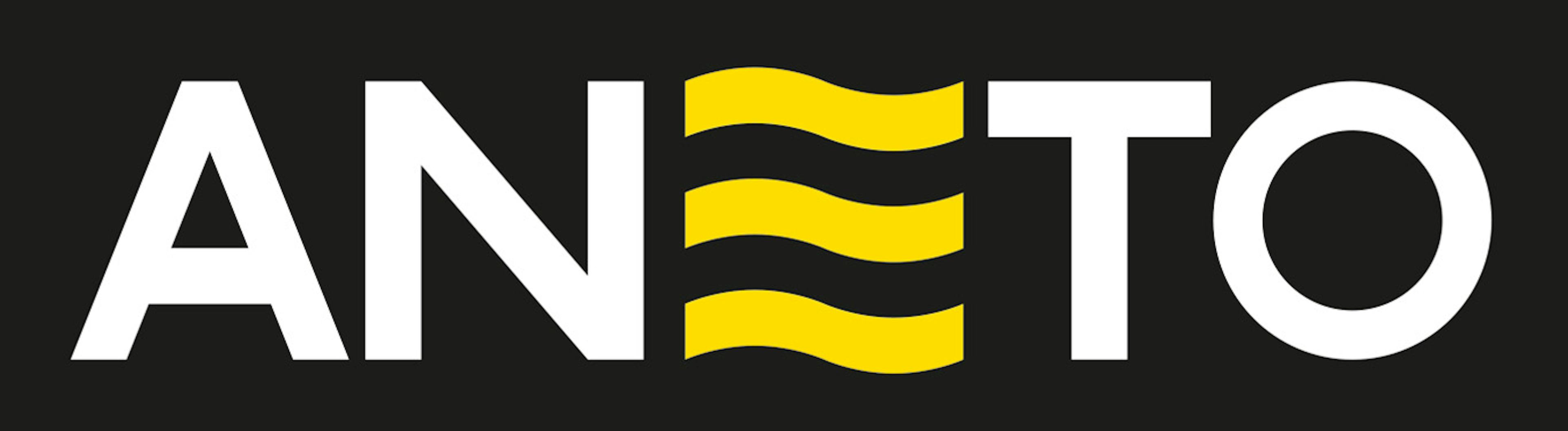 Aneto logo