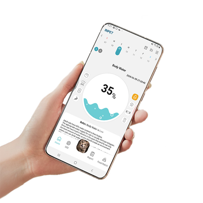 Kattvåg Våg Inpet CV1