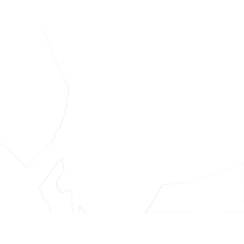 Avfallspåsar Brabantia 10-12L Vit Plastpåse med Knytband