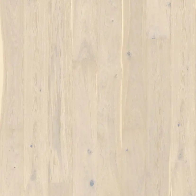 Parkettgolv Berg & Berg Ek XXL Österlen Mattlack 1-Stav