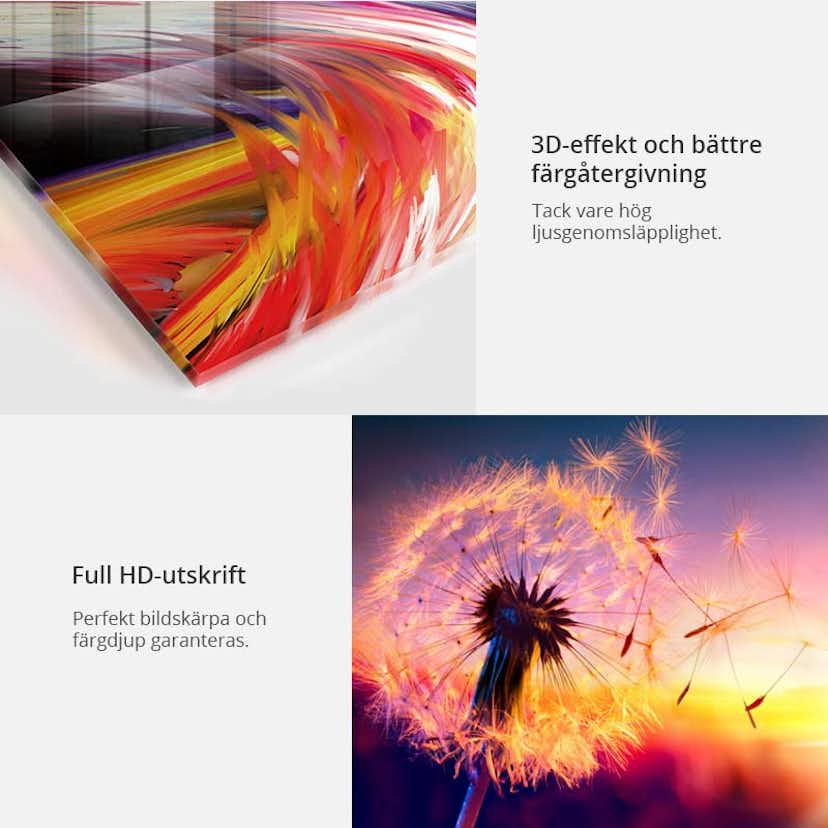 Akrylglastavla Arkiio Blue Glade