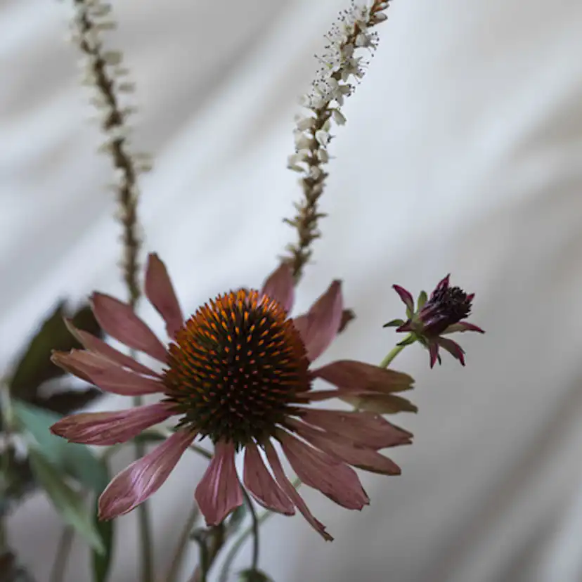 Tapet Boråstapeter Chalk Mural 5092