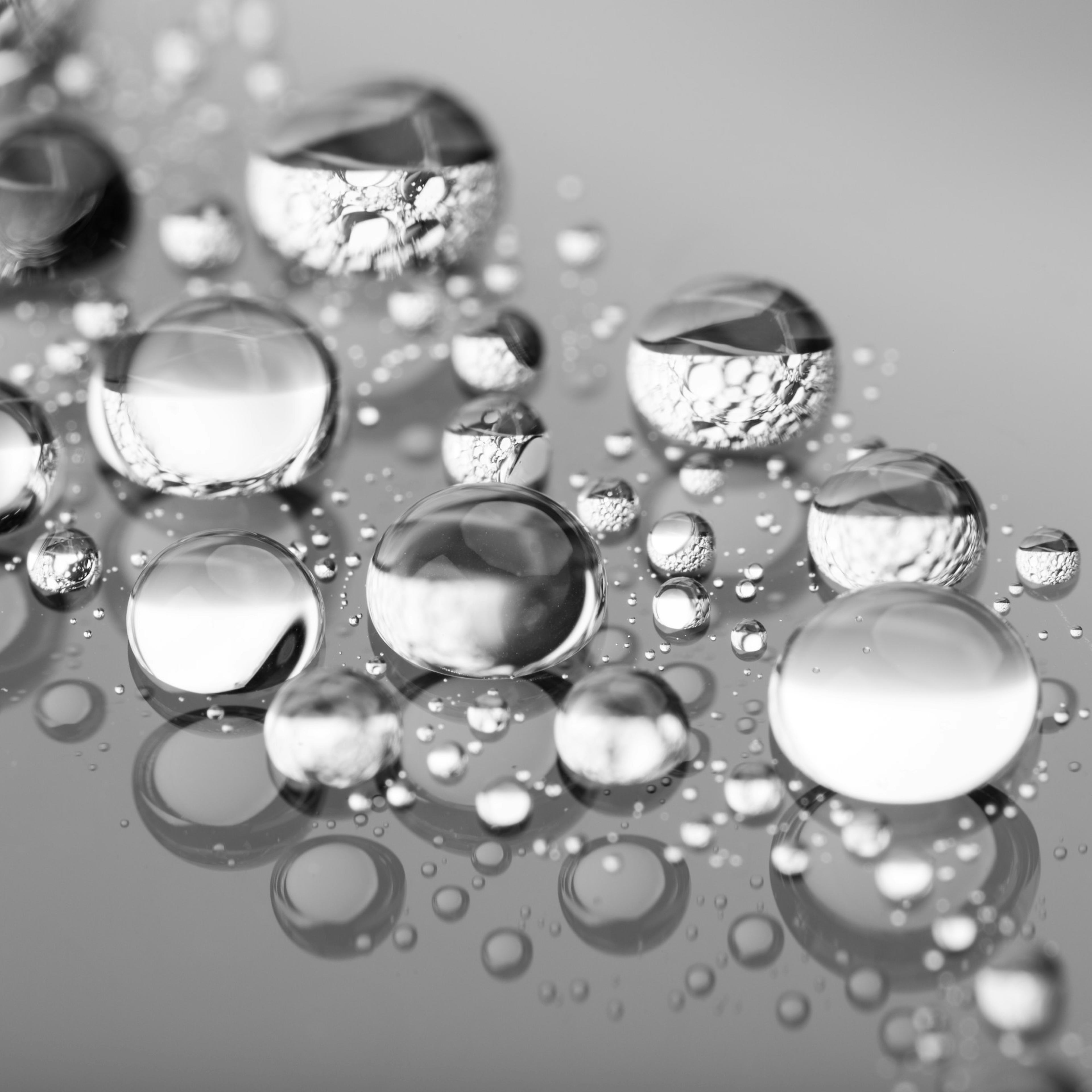 cranith_kalkbeläggning