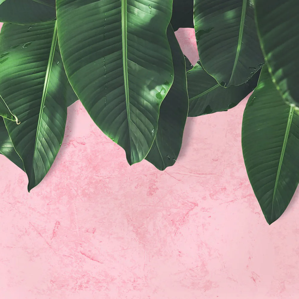 Fototapet Living Walls Designwalls DD118544