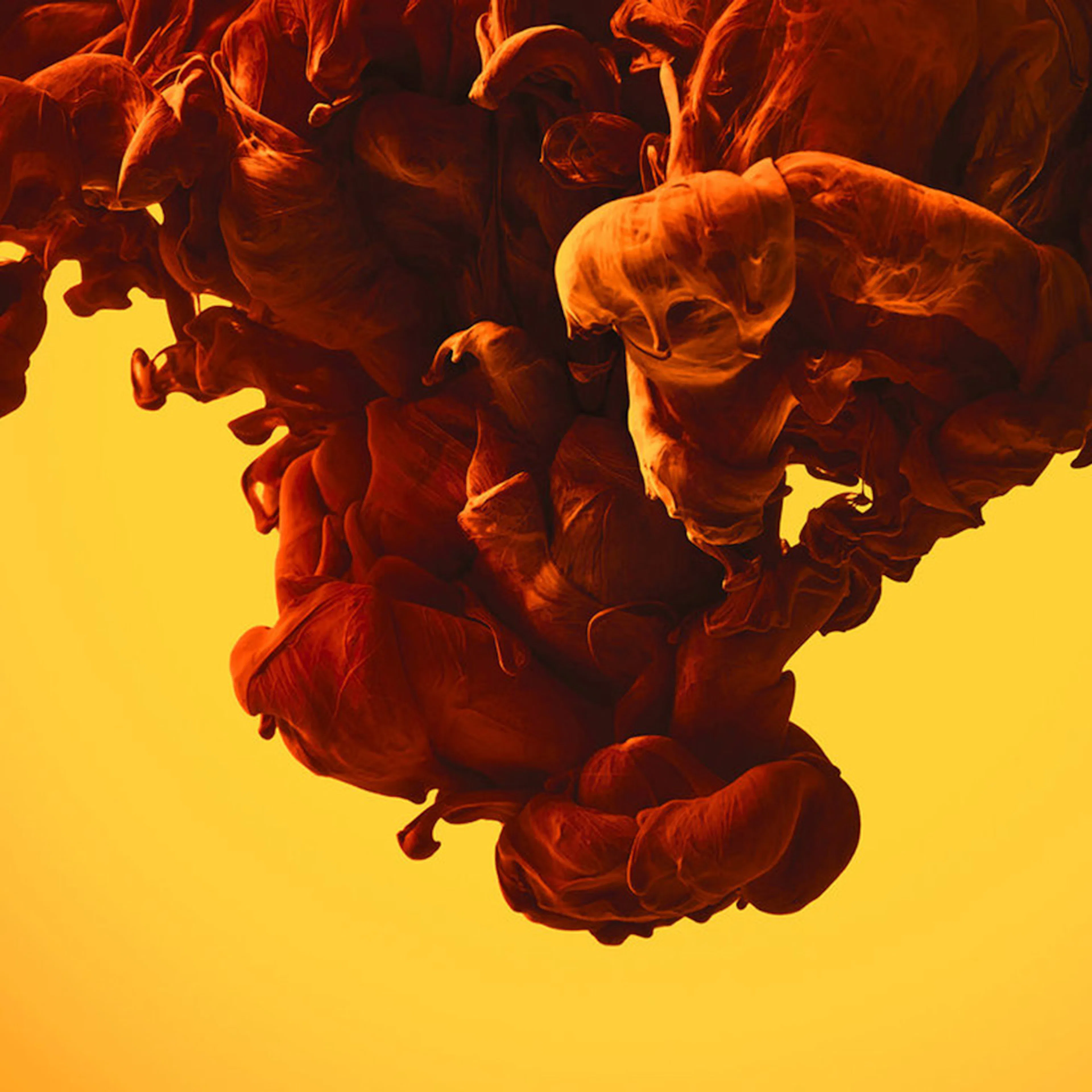 Fototapet Living Walls Designwalls DD118778