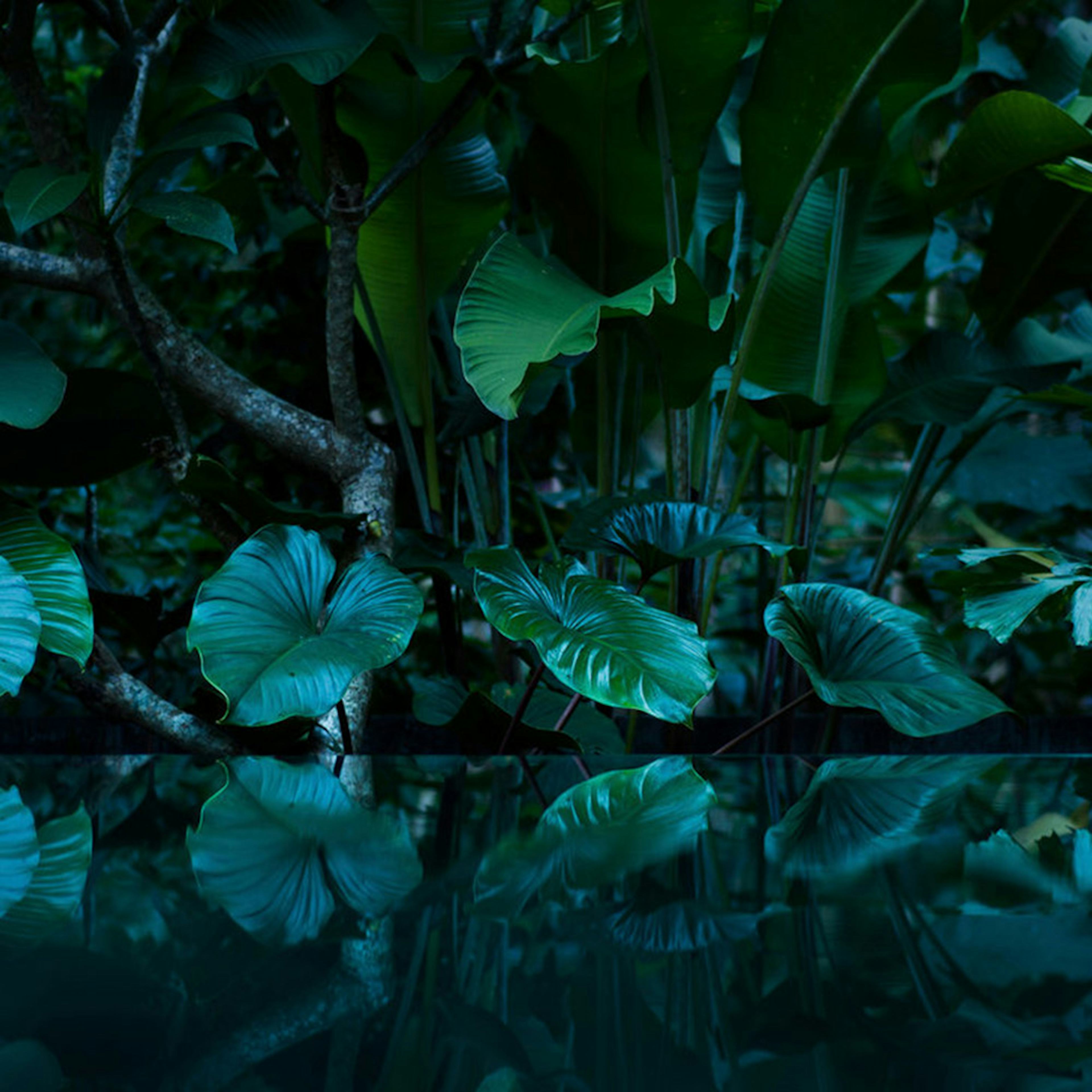 Fototapet Living Walls Designwalls DD118796