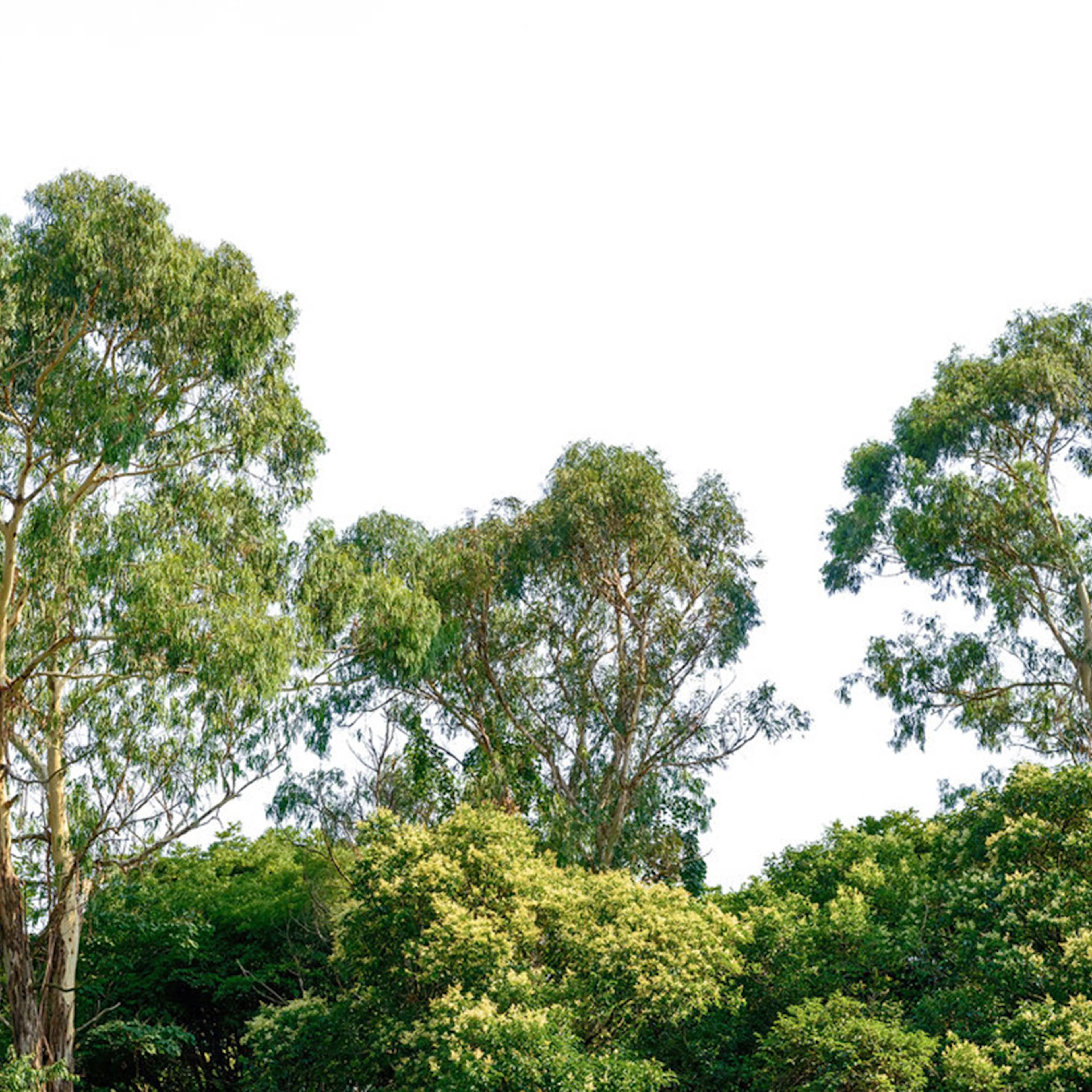 Fototapet Living Walls Designwalls DD118797