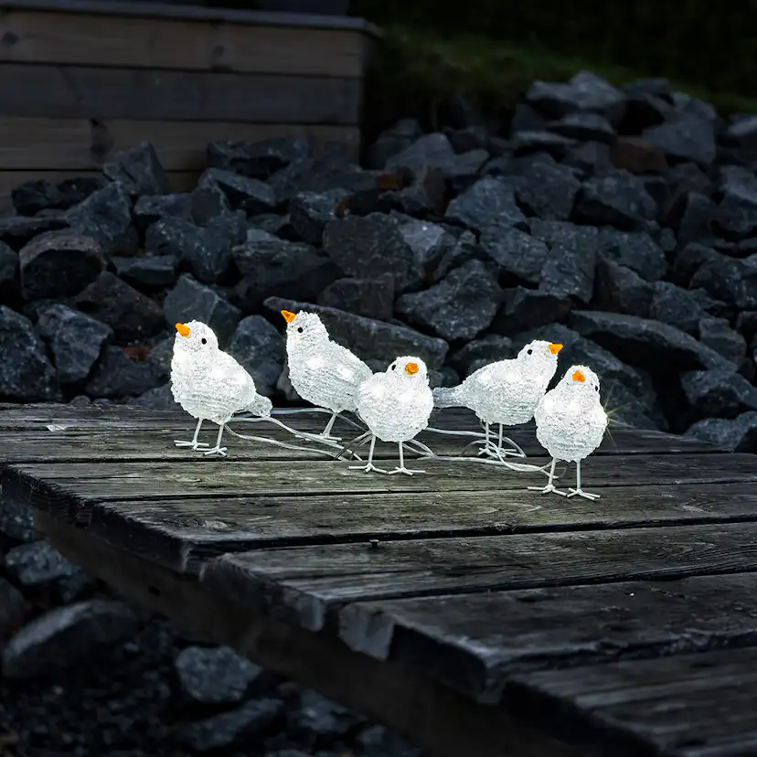 Dekorationsbelysning Gnosjö Konstsmide Fåglar 40 st LED