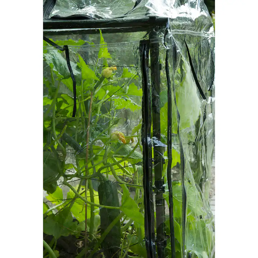 Drivhus Flexigarden för Odlingslåda Svart